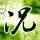 原版布莱克博恩学院学位证【degxx.com】